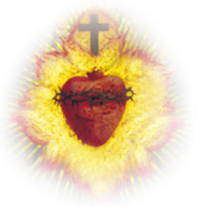 coeur-heart coeur-heart