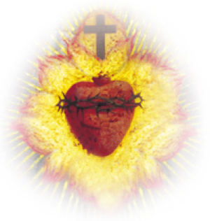 coeur-heart coeur-heart